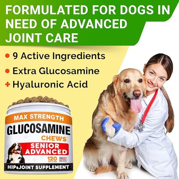 Glucosamine Chews - Max Strength - Image 3