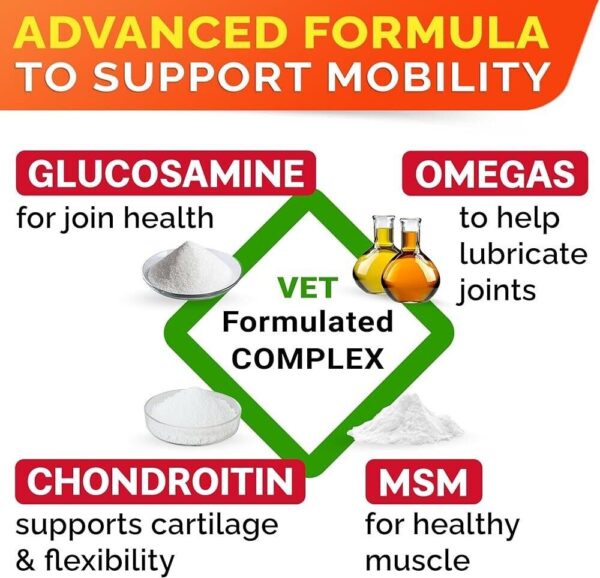 Glucosamine for Dogs - Hip & Joint Supplement - Chondroitin, MSM, Turmeric Dog - Image 6